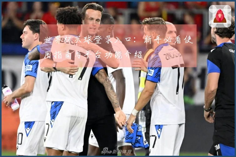世界杯买球登录入口：新手必看使用指南与平台功能介绍