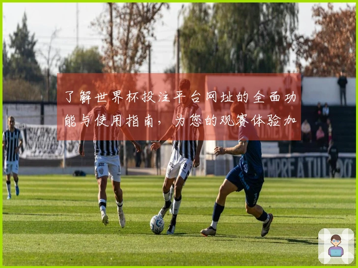 了解世界杯投注平台网址的全面功能与使用指南，为您的观赛体验加分