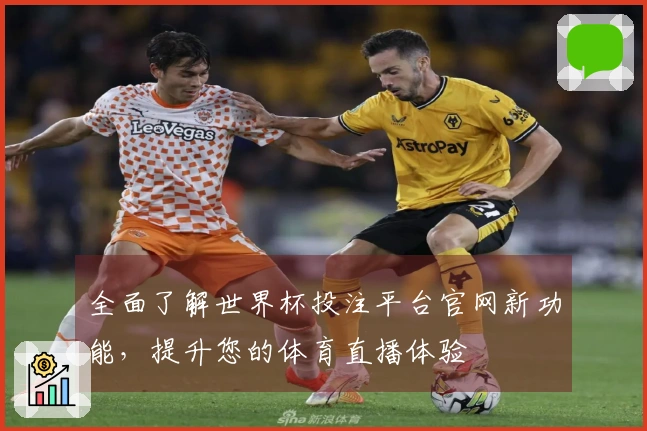 全面了解世界杯投注平台官网新功能，提升您的体育直播体验