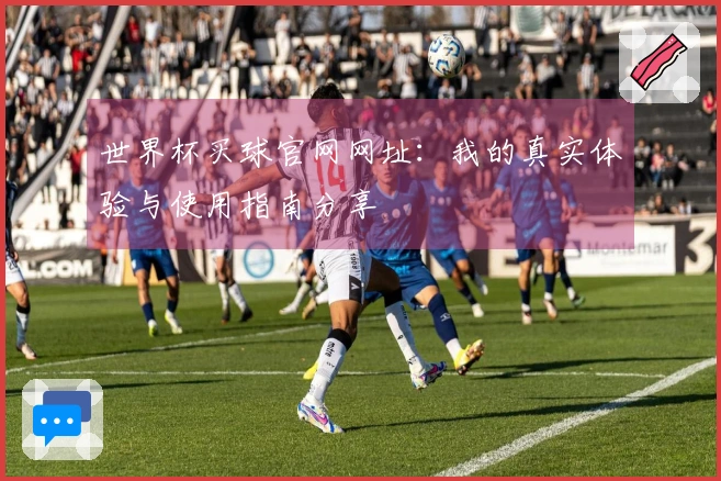 世界杯买球官网网址：我的真实体验与使用指南分享