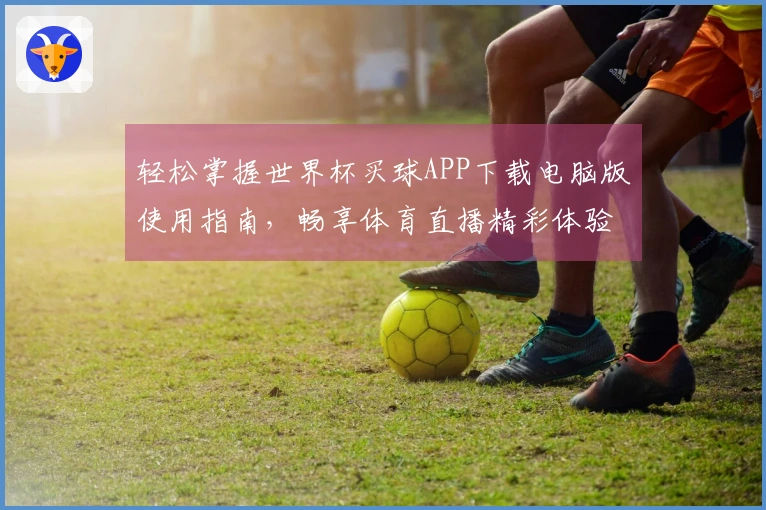 轻松掌握世界杯买球APP下载电脑版使用指南，畅享体育直播精彩体验