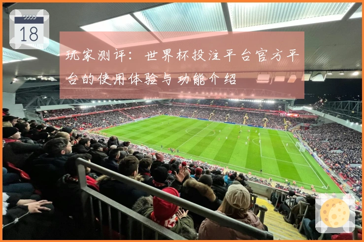 玩家测评：世界杯投注平台官方平台的使用体验与功能介绍