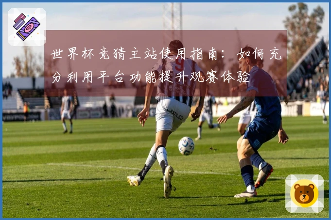 世界杯竞猜主站使用指南：如何充分利用平台功能提升观赛体验