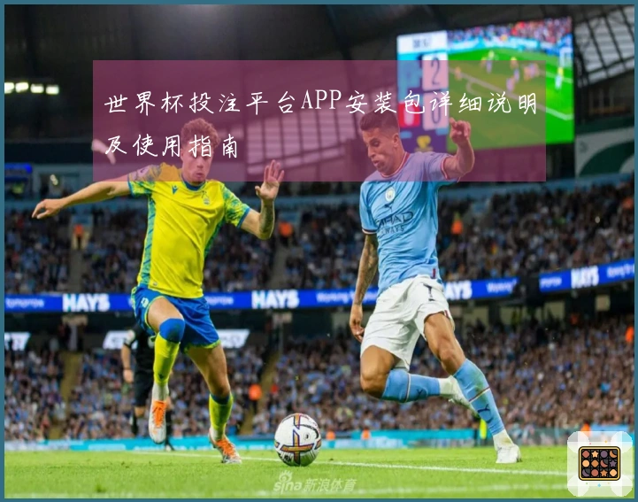 世界杯投注平台APP安装包详细说明及使用指南