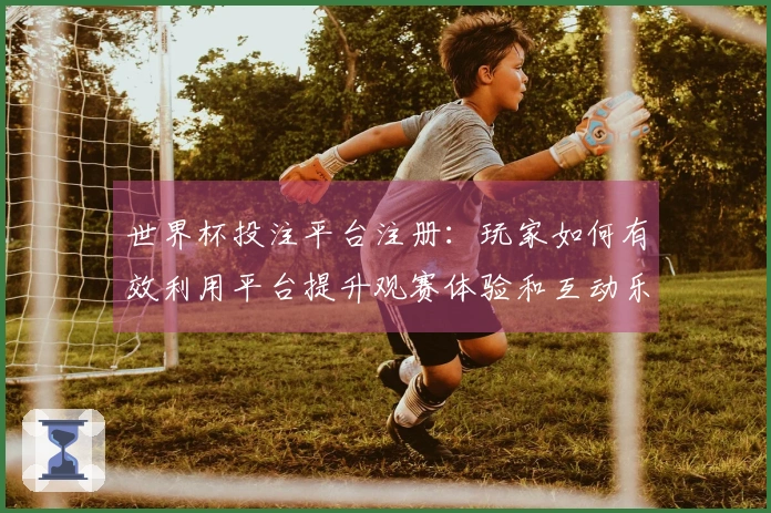 世界杯投注平台注册：玩家如何有效利用平台提升观赛体验和互动乐趣
