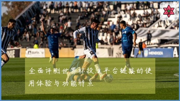 全面评测世界杯投注平台链接的使用体验与功能特点