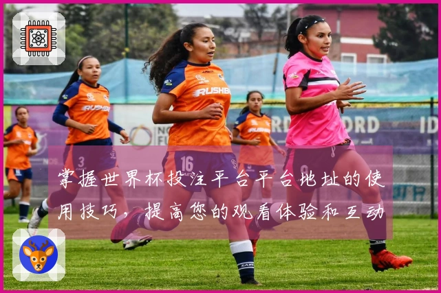 掌握世界杯投注平台平台地址的使用技巧，提高您的观看体验和互动乐趣