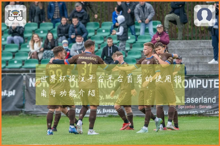 世界杯投注平台平台首页的使用指南与功能介绍