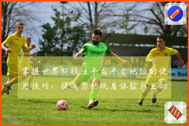 掌握世界杯投注平台平台地址的使用技巧，提高您的观看体验和互动乐趣