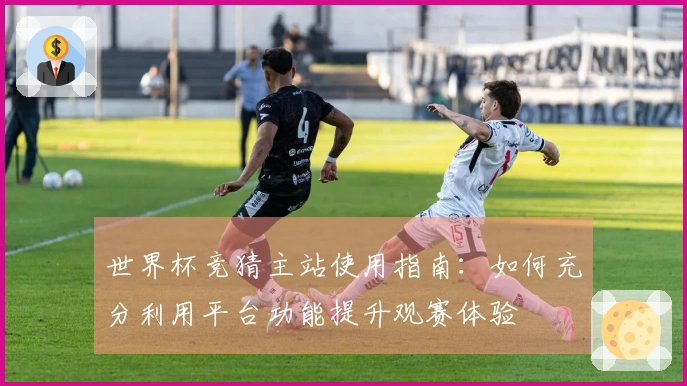 世界杯竞猜主站使用指南：如何充分利用平台功能提升观赛体验