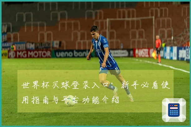 世界杯买球登录入口：新手必看使用指南与平台功能介绍