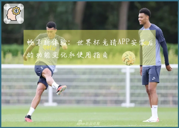 畅享新体验：世界杯竞猜APP安装后的功能变化和使用指南