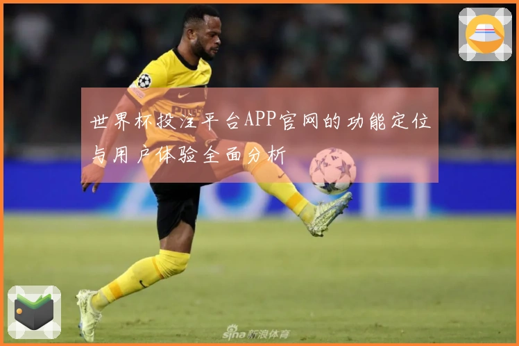 世界杯投注平台APP官网的功能定位与用户体验全面分析