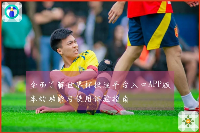 全面了解世界杯投注平台入口APP版本的功能与使用体验指南